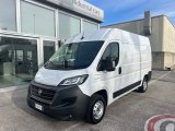 Fiat Ducato furgone
