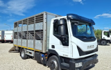 Iveco Eurocargo 80E22P trasporto bestiame