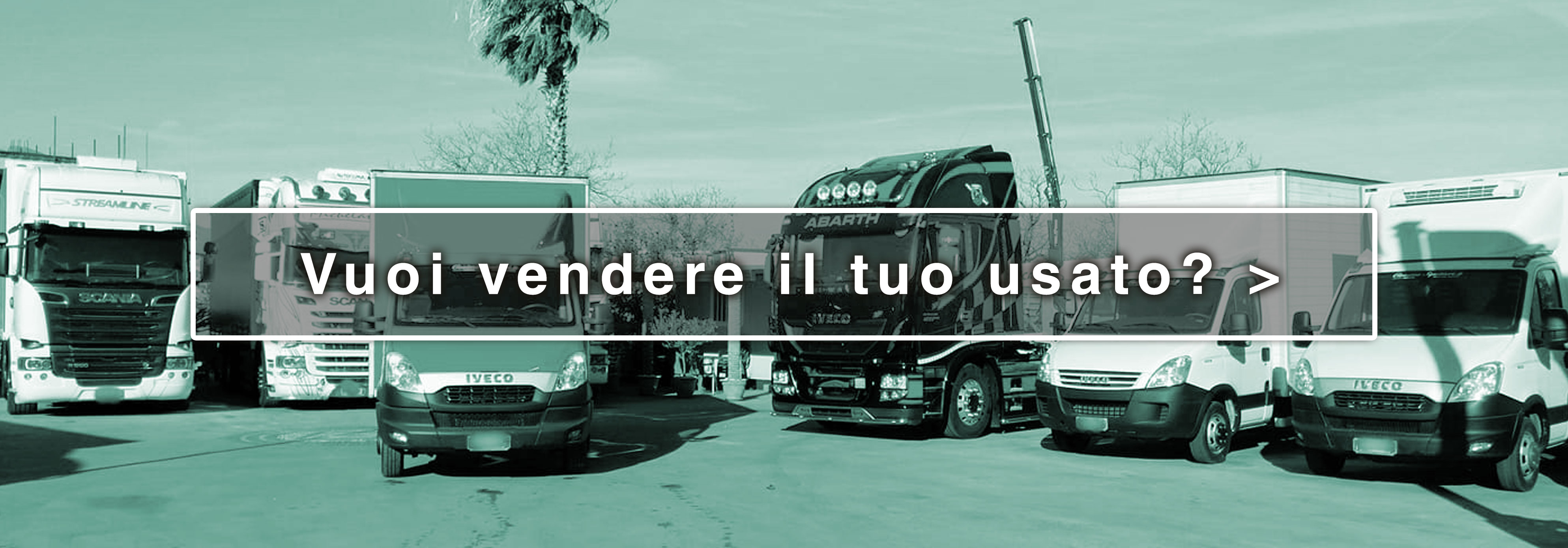 SQUITIERI COSIMO sas